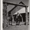 Dudes riding through corral gate. Quarter Circle 'U' Ranch, Montana
