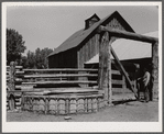 Corral gate and watering trough. Quarter Circle 'U' Ranch, Montana