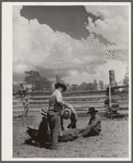 Branding. Three Circle roundup. Custer Forest, Montana