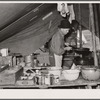 Cook at Three Circle roundup. Custer National Forest, Montana