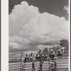 Cowhands and dude girls at Three Circle roundup. Custer National Forest, Montana