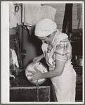 Cook with a pot of potatoes. Quarter Circle 'U' Ranch, Montana