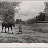 Girl with pony. Warren Brewster ranch. Montana