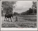 Girl with pony. Warren Brewster ranch. Montana