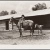 Little girl with mare. Warren Brewster ranch, Montana