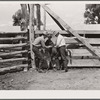 Vaccinating colt against blackleg. Warren Brewster ranch, Montana