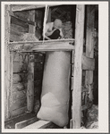 Stuffing bag of wool. Rosebud County, Montana. Sheep shearing pen