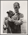 Sheepherder. Rosebud County, Montana