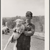 Sheepherder. Rosebud County, Montana