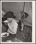 Rancher's son at dinner. Quarter Circle 'U' Ranch roundup. Big Horn County, Montana