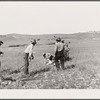 Branding. Quarter Circle 'U' Ranch roundup. Big Horn County, Montana