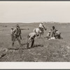 Quarter Cirle U Brewster-Arnold Ranch Company, near Birney, Montana. Branding at the round-up