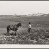 Quarter Circle 'U' Ranch roundup. Big Horn County, Montana