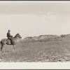 Quarter Circle 'U' Ranch roundup. Big Horn County, Montana