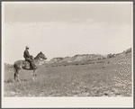 Quarter Circle 'U' Ranch roundup. Big Horn County, Montana