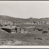 Cattle grazing near a homesteader's abandoned cabin. Unsuccessful attempts at farming have been followed by use of the land for grazing. Custer County, Montana