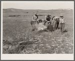 Branding. Quarter Circle 'U' Ranch roundup. Big Horn County, Montana