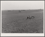 Spreading manure. Kimberley farm, Jasper County, Iowa