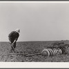 Adjusting the teeth on a harrow. Kimberley farm, Jasper County, Iowa