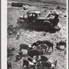 Feeding hogs. Kimberley farm, Jasper County, Iowa