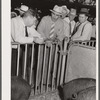 Hog auction. Iowa State Fair, Des Moines, Iowa