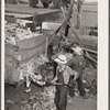 Grinding corn for cattle feed. Leo Gannon farm, Jasper County, Iowa