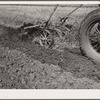 Plowing. Story County, Iowa