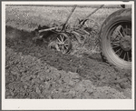 Plowing. Story County, Iowa