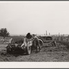 Loading manure spreader. Kimberley farm, Jasper County, Iowa