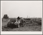 Loading manure spreader. Kimberley farm, Jasper County, Iowa