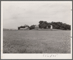 Farm. Hardin County, Iowa