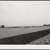 Freight train and plowed field. Hardin County, Iowa