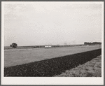 Freight train and plowed field. Hardin County, Iowa