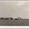 Barn. Rice County, Minnesota