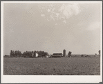 Barn. Rice County, Minnesota