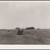 Harvesting sweet corn. Ryken farm, Hardin County, Iowa