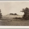 Farm. Marshall County, Iowa