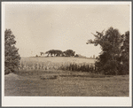 Farm. Marshall County, Iowa