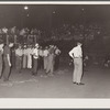 Start of calf-scramble, in which twelve boys try to catch six calves. Central Iowa Fair, Marshalltown, Iowa