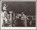Auction of 4-H Club baby beeves. Central Iowa Fair, Marshalltown, Iowa