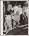 Hog auction. Central Iowa Fair, Marshalltown, Iowa