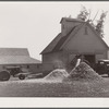 Shelling corn. Luther Passmore farm, Polk County, Iowa