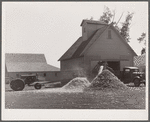 Shelling corn. Luther Passmore farm, Polk County, Iowa