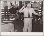 Auctioneer at 4-H Club lamb sale. Central Iowa Fair, Marshalltown, Iowa