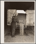 Unloading shelled corn at elevator. Grundy Center, Iowa. Farmers' cooperative elevator