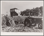 Cone-row puller type of mechanical corn picker. Robinson farm, Marshall County, Iowa