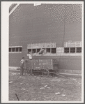 Filling corn cribs with hybrid seed corn. Robinson farm, Marshall County, Iowa