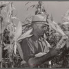 Luther Passmore, farmer, with hybrid corn. Polk County, Iowa