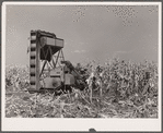 Mechanical corn picker. Robinson farm, Marshall County, Iowa