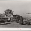 House and cornfield. Fred Coulter's farm, Grundy County, Iowa